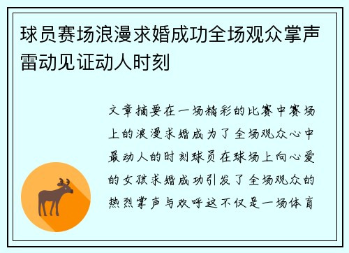 球员赛场浪漫求婚成功全场观众掌声雷动见证动人时刻