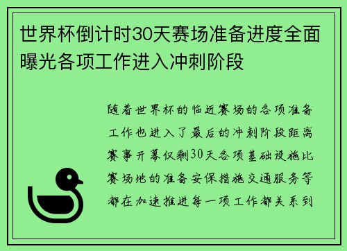 世界杯倒计时30天赛场准备进度全面曝光各项工作进入冲刺阶段