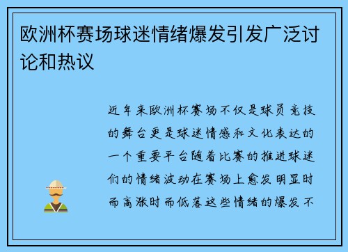欧洲杯赛场球迷情绪爆发引发广泛讨论和热议